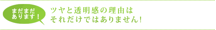 ツヤと透明感の理由