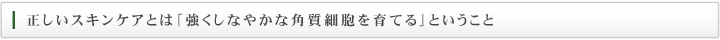 正しいスキンケアとは「強くしなやかな角質層を育てる」ということ